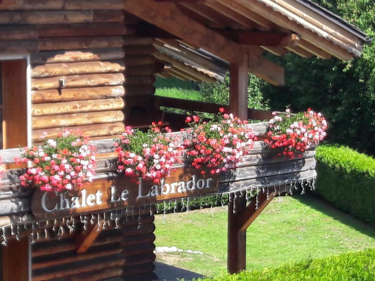 Hotel Le Labrador Шамони Экстерьер фото